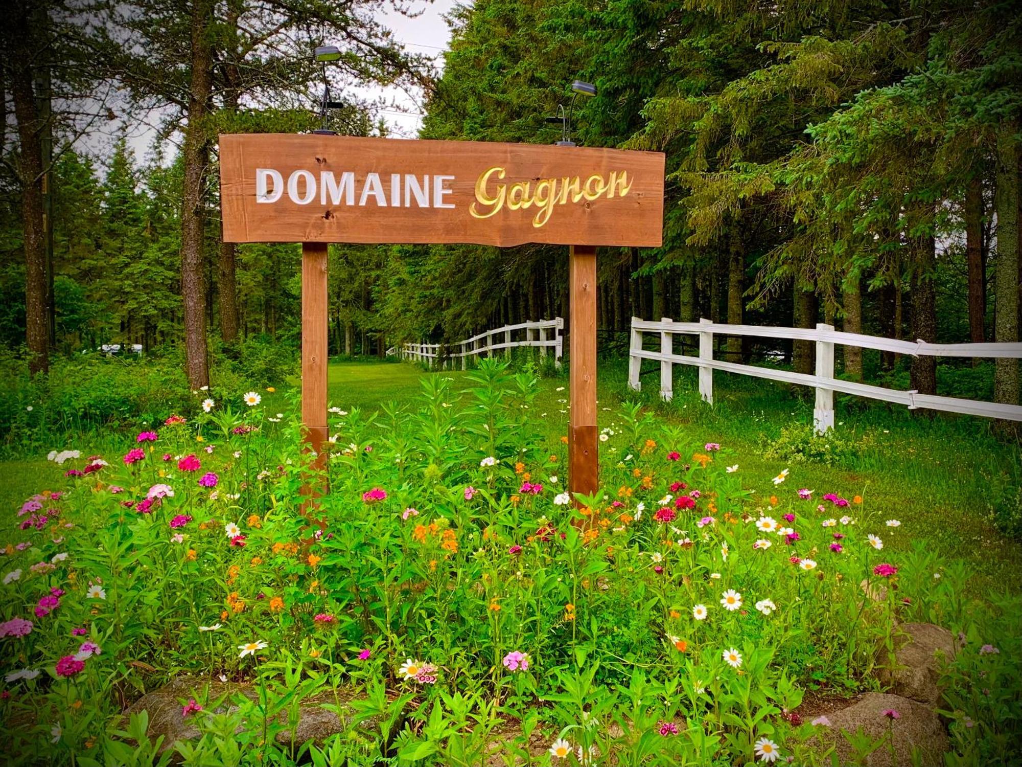 Domaine Gagnon Villa Saint Sebastien Eksteriør bilde