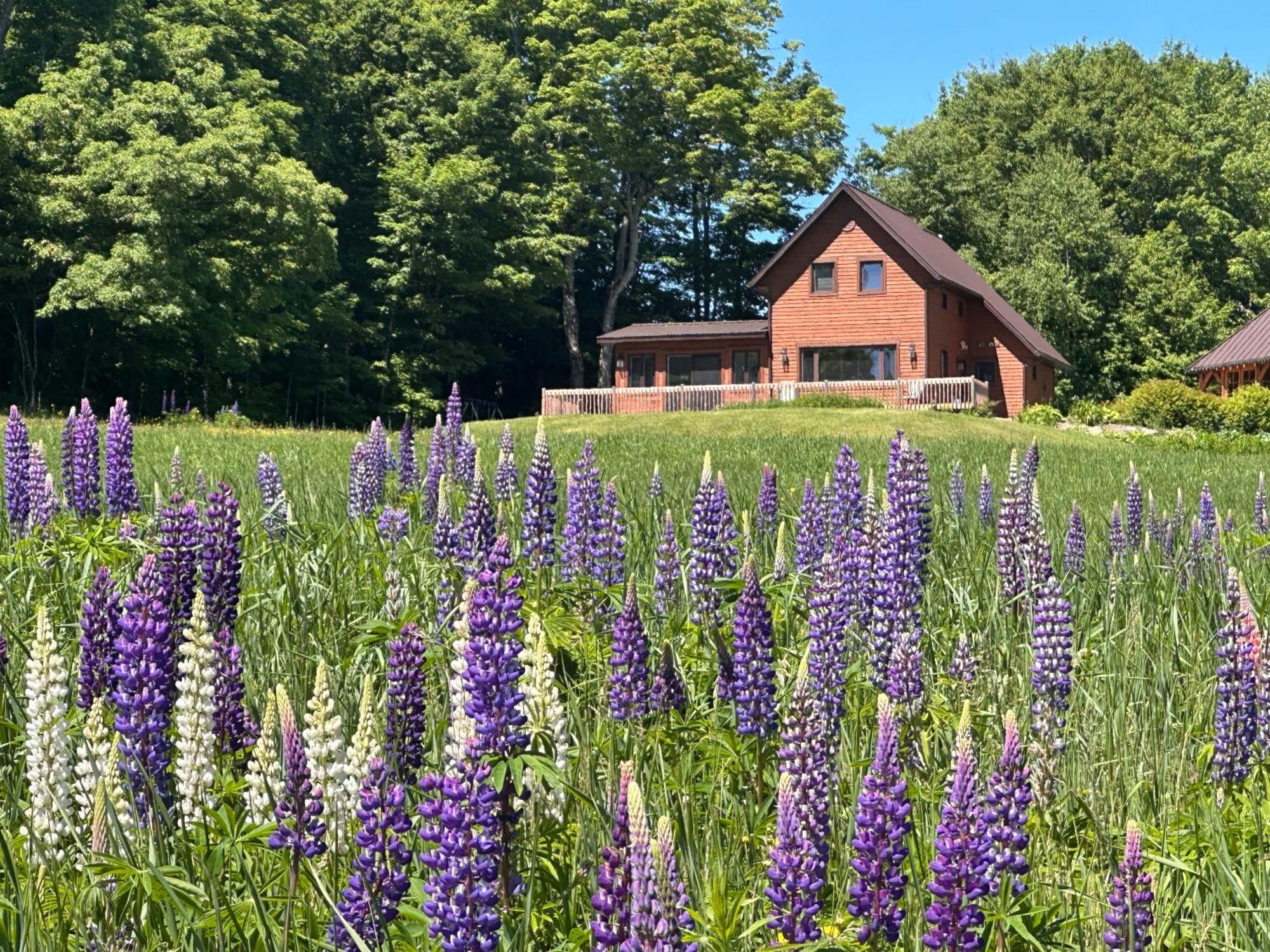 Domaine Gagnon Villa Saint Sebastien Eksteriør bilde